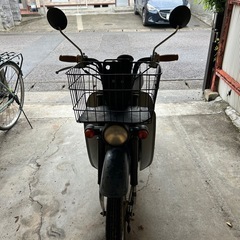 値引き　スズキ　バーディー　50ccの画像