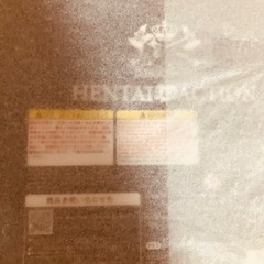 新品未開封　フィギュア　サキュバス女王リズベット　褐色バージョン　の画像