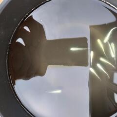 メダカ　幹之　10匹の画像