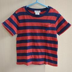 POLO Ralph Lauren 兄弟お揃いTシャツの画像