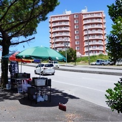 6/8 闘魚路上販売🐟