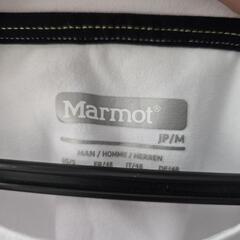 【Marmot】ロングスリーブMサイズの画像