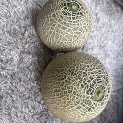 Ｂ級品　鉾田市産メロン