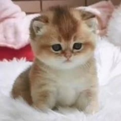 ‪·͜· ‪♡ ̖́-お友達募集‪·͜· ‪♡ ̖́-