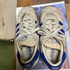 adidas 運動靴。の画像