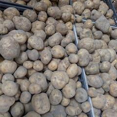 じゃがいも 男爵 無人販売中