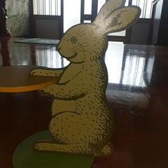 うさぎ🐰　の画像