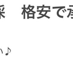 【格安】熊本の樹木の伐採、根切り等　承ります。