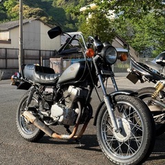 250TLAカスタム（master250）
