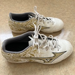 MIZUNO ALPHA シューズ24㎝の画像