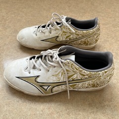 MIZUNO ALPHA シューズ24㎝の画像