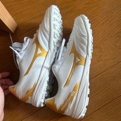 ミズノ　トレーニングシューズ　25.0 サイズ確認の為一度試着　未使用の画像