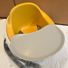 【決まりました】バンボの画像