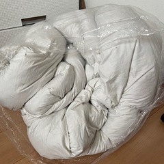 ニトリ購入【羽毛布団中身】の画像