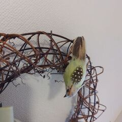 リース　初夏の画像