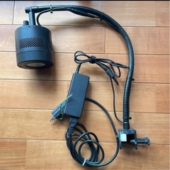 サンゴ・海水・水槽のライト