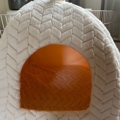 猫の隠れ家