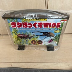カブトムシ観察ケース
