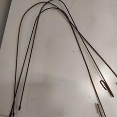 胡蝶蘭の鉄具棒の画像