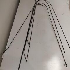 胡蝶蘭の鉄具棒の画像
