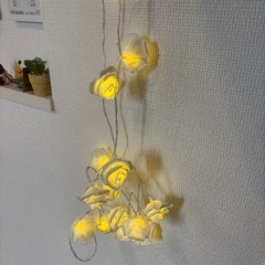 白いばらのライトの画像