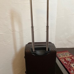 キャリーの画像