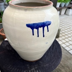 鉢(直径30cmx高さ34cm)の画像