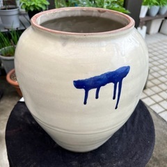 鉢(直径30cmx高さ34cm)