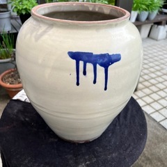 鉢(直径30cmx高さ34cm)の画像