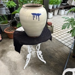 鉢(直径30cmx高さ34cm)の画像