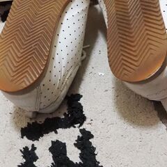 皮、運動靴、24，5、中古、の画像