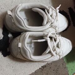 皮、運動靴、24，5、中古、の画像