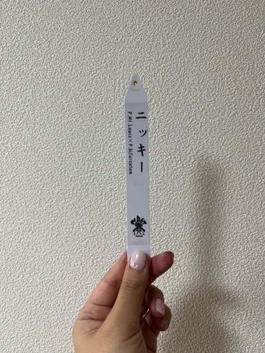 【売り切れ】コウモリラン ビカクシダ ニッキー 子株