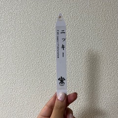 コウモリラン ビカクシダ ニッキー 子株の画像