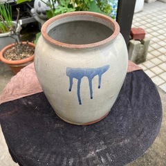 鉢(直径23cmx高さ23.5cm)
