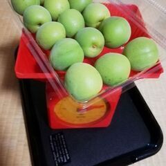 9ープラム