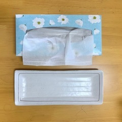 長い皿　平皿 2枚セットの画像
