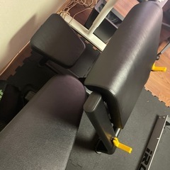 プリーチャーカールの画像