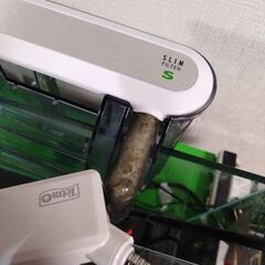 水槽(30cmいかないくらいの小ぶりサイズ)セット譲りますの画像