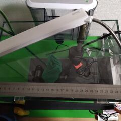 水槽(30cmいかないくらいの小ぶりサイズ)セット譲りますの画像