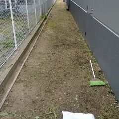 草抜き作業‪🌱‬