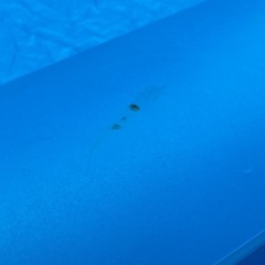 家庭用プールの画像