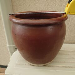 睡蓮鉢　壺　陶器