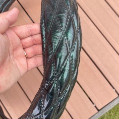 ハンドルカバー
の画像