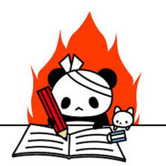 夏休み復習予習勉強会　9000～17000円　1対1の個別…