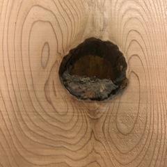 ⑨ 大特価 特大 無垢 一枚板ダイニングテーブル の画像