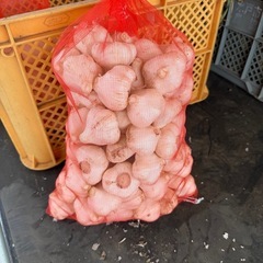 にんにく　1キロ〜予約受付の画像