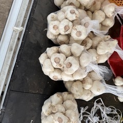 にんにく　1キロ〜予約受付の画像