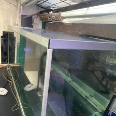 （水槽）120cmガラス水槽の画像