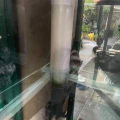 （水槽）120cmガラス水槽の画像